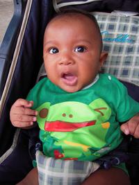 ファイル 26-2.jpg