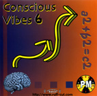 CONSCIOUS VIBES 6