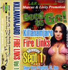 GOOD TO GO!! feat:Killamanjaro, Fire Links Vol.1 