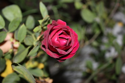 ファイル 55-2.jpg