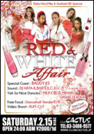 2/15 -A YAH SO NICE- RED & WHITE Affair @ClubCACTUS (動画)