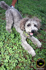 ファイル 40-38.jpg