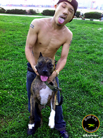 ファイル 40-39.jpg