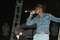 ファイル 207-1.jpg