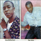 ファイル 268-1.jpg