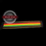 ras12755