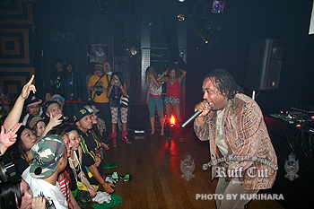 REGGAE PHOTO & GALLERY